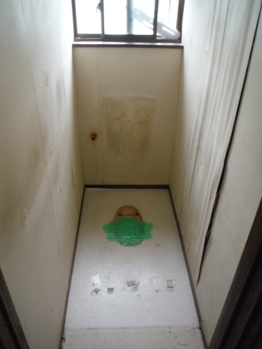 トイレ内装 リフォーム ~ 壁工事。_d0165368_03521687.jpg