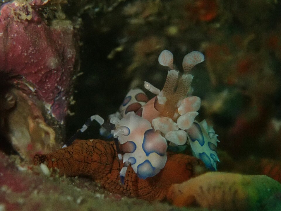 d0363174_09092129.jpg