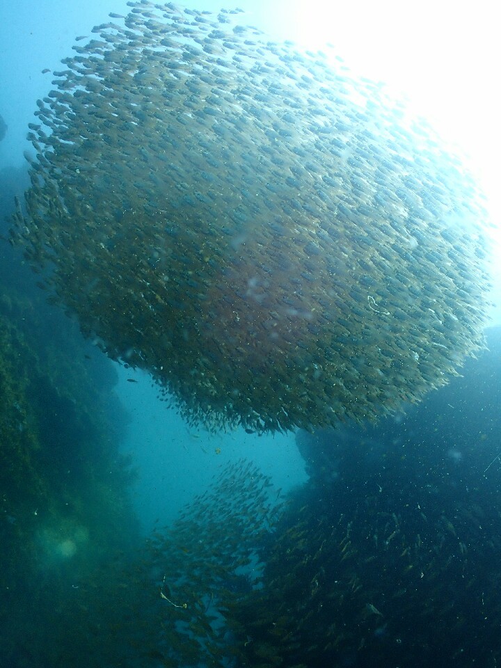 d0363174_09092150.jpg