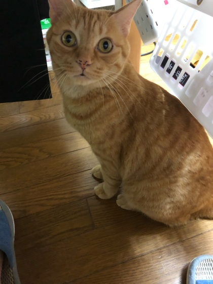 2泊3日のお留守番_e0355177_19271768.jpg