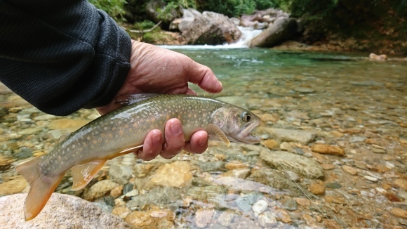 c0157482_11391207.jpg
