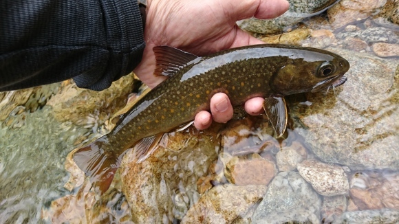 c0157482_11400827.jpg