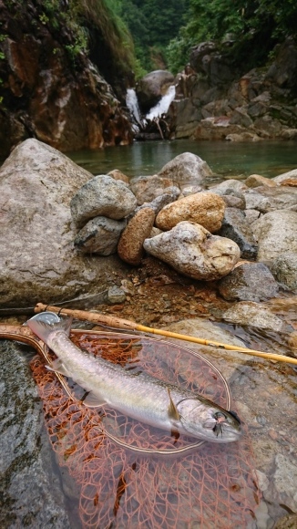 c0157482_11494979.jpg