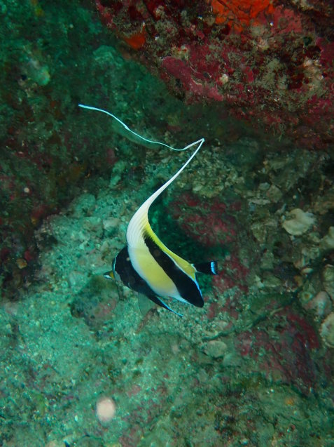 e0115199_15331324.jpg