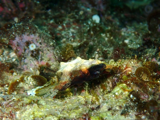 e0115199_15343104.jpg