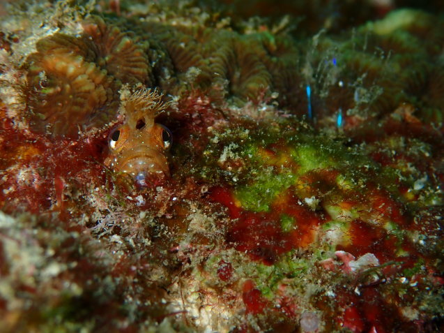 e0115199_15345003.jpg
