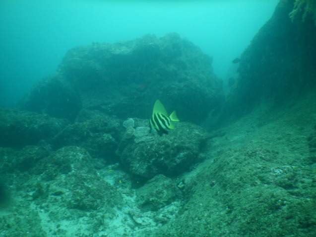 e0115199_17301565.jpg