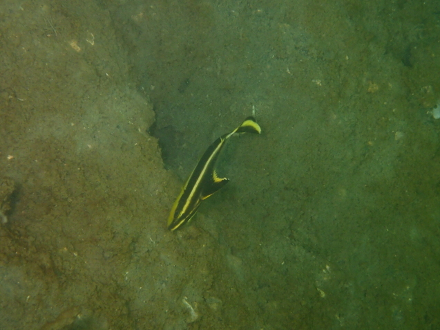 e0115199_19102673.jpg