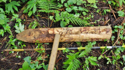 c0336902_20134258.jpg