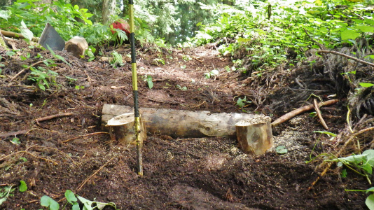 c0336902_20134534.jpg