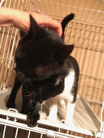 いつもべったり♪_f0242002_13434074.jpg