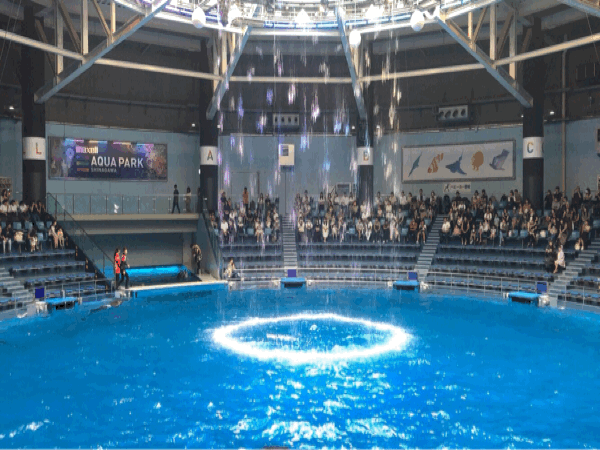 こんにちは!高橋です！_e0001906_17052611.gif