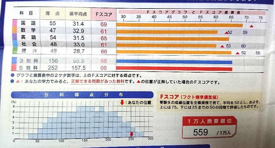 テスト結果