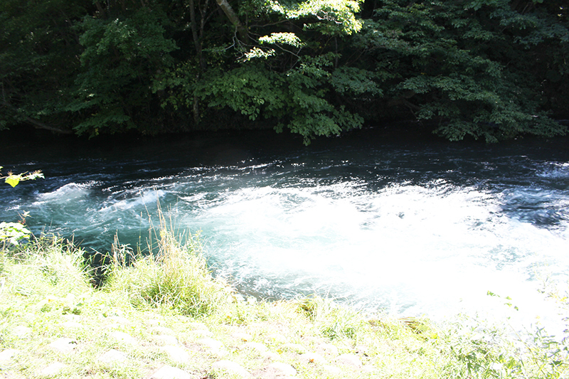 a0139912_15532003.jpg