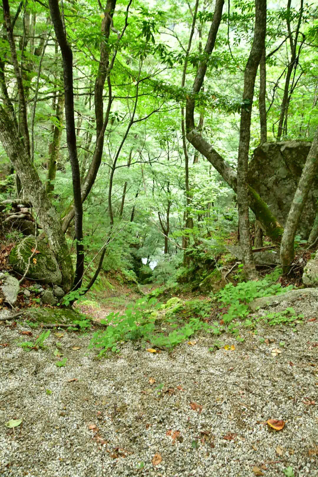 b0223512_22211873.jpeg