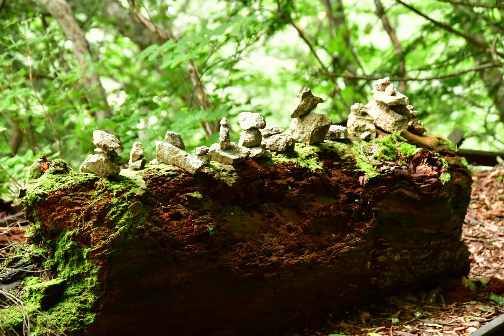 b0223512_22220445.jpeg