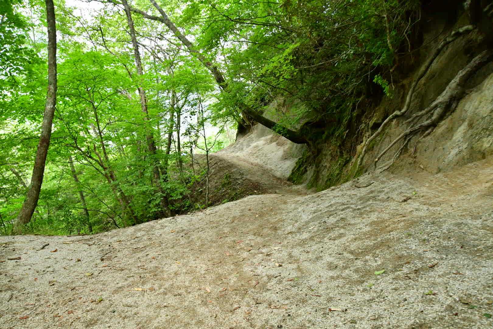 b0223512_22222641.jpeg