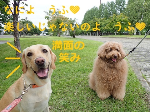大きい公園デビュー。_c0182012_11092187.jpg