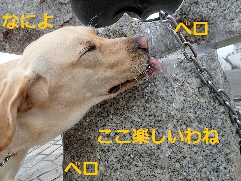 大きい公園デビュー。_c0182012_11092987.jpg