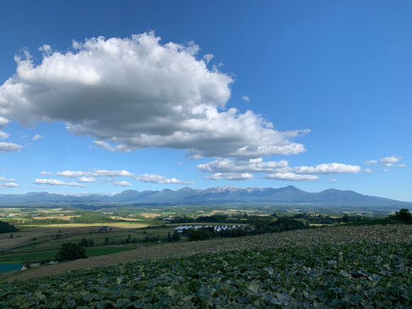 アンダー30割 はじめます😊 _f0096216_12504059.jpg