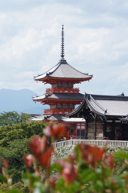 京都清水寺へ 「CONTACT展」_d0348118_10061523.jpeg