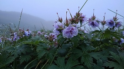a0172222_16494121.jpg