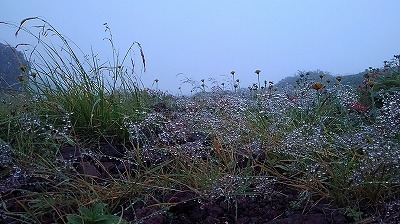 a0172222_16495738.jpg