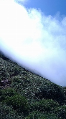 a0172222_17041256.jpg