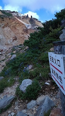 a0172222_17050379.jpg