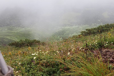 a0172222_17102915.jpg
