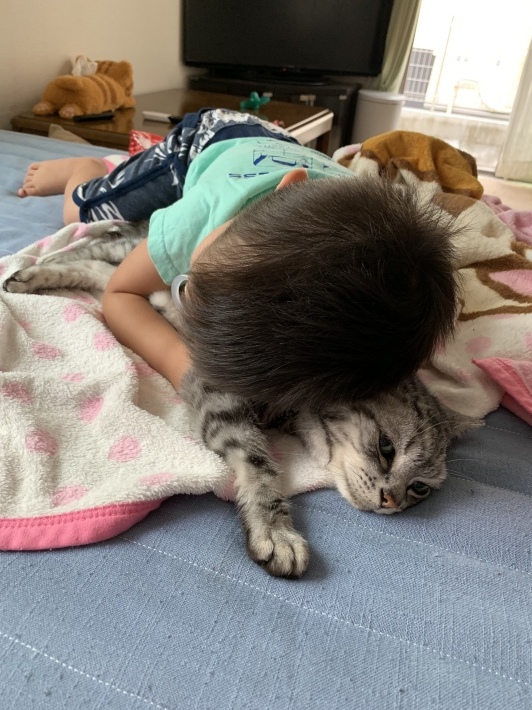 こんばんは( ´ ▽ ` )ノ_d0233224_08311049.jpeg