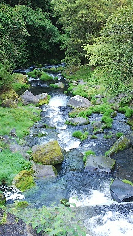 e0319042_16355951.jpg