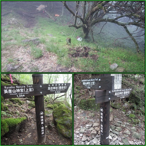 2ヶ月振りの英彦山_e0164643_13235212.jpg