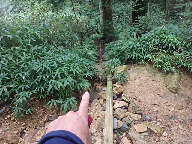 f0334143_12173472.jpg
