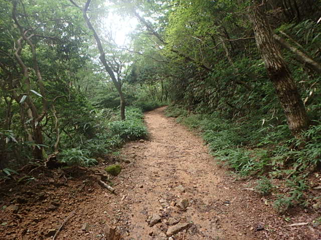f0334143_1218343.jpg