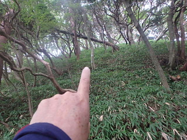 f0334143_12192888.jpg