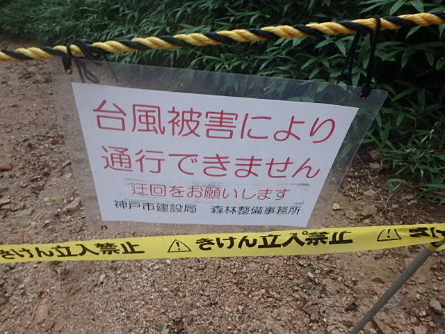 f0334143_1222362.jpg