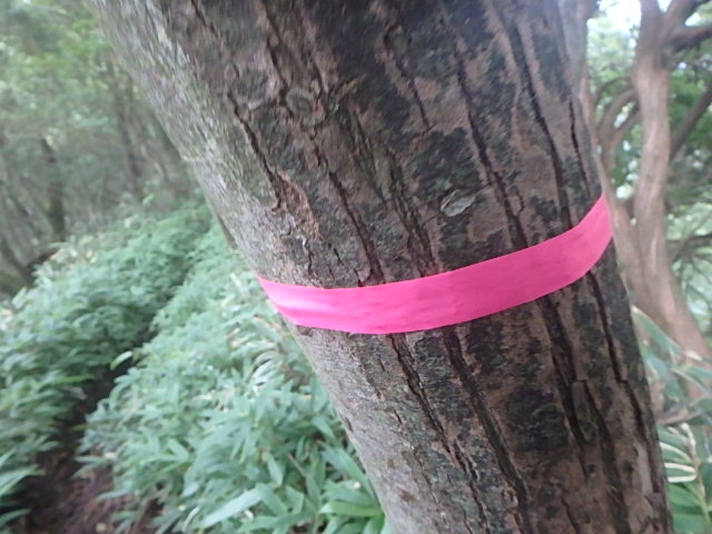 f0334143_12241540.jpg