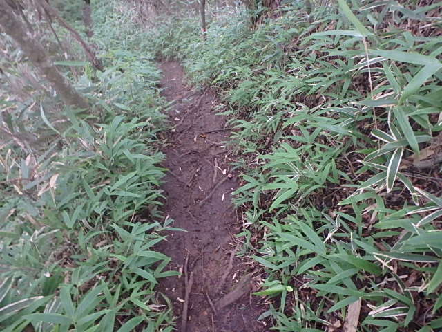 f0334143_12243116.jpg