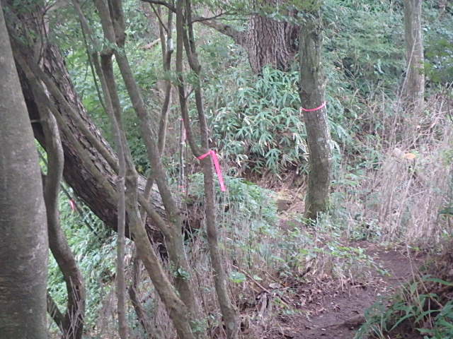 f0334143_12244217.jpg