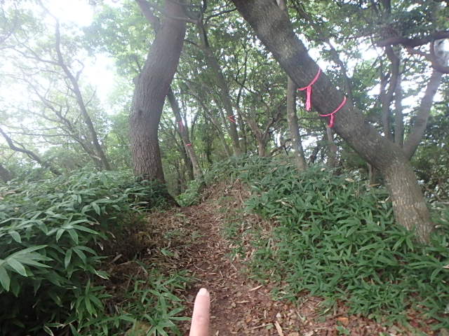 f0334143_1224496.jpg