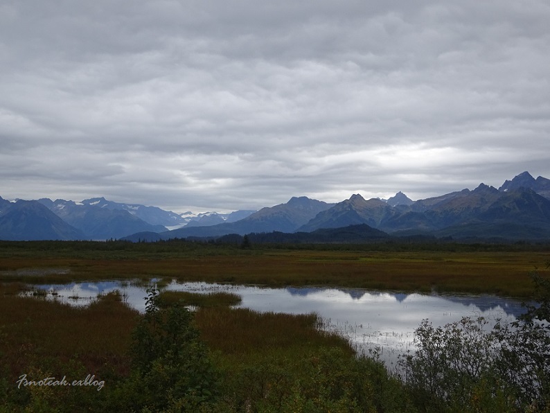 d0356844_07261474.jpg