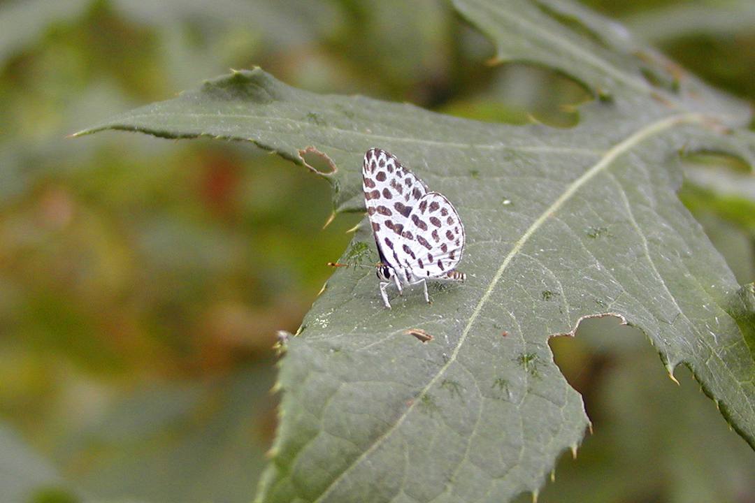 e0403850_15240339.jpg