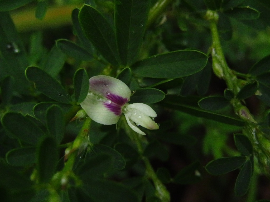 a0018655_08585370.jpg