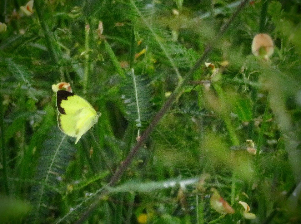a0018655_08585392.jpg