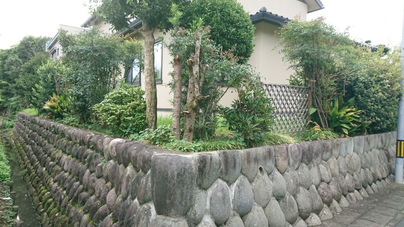 e0361655_08302813.jpg