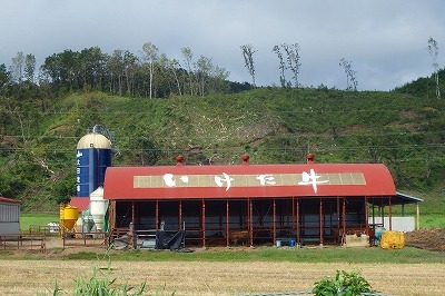 b0171771_22182078.jpg