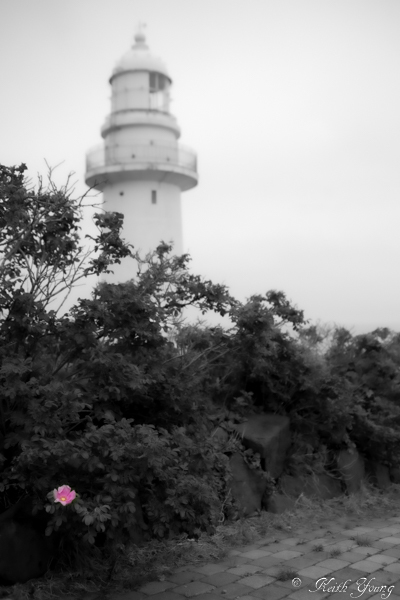 e0338273_21233496.jpg