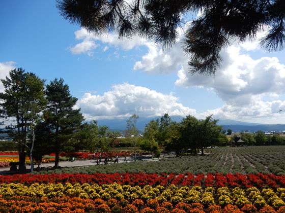富良野・美瑛②_e0355177_19532075.jpg
