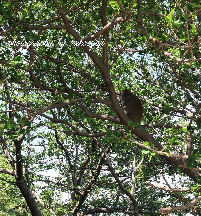 f0295481_10120463.jpg